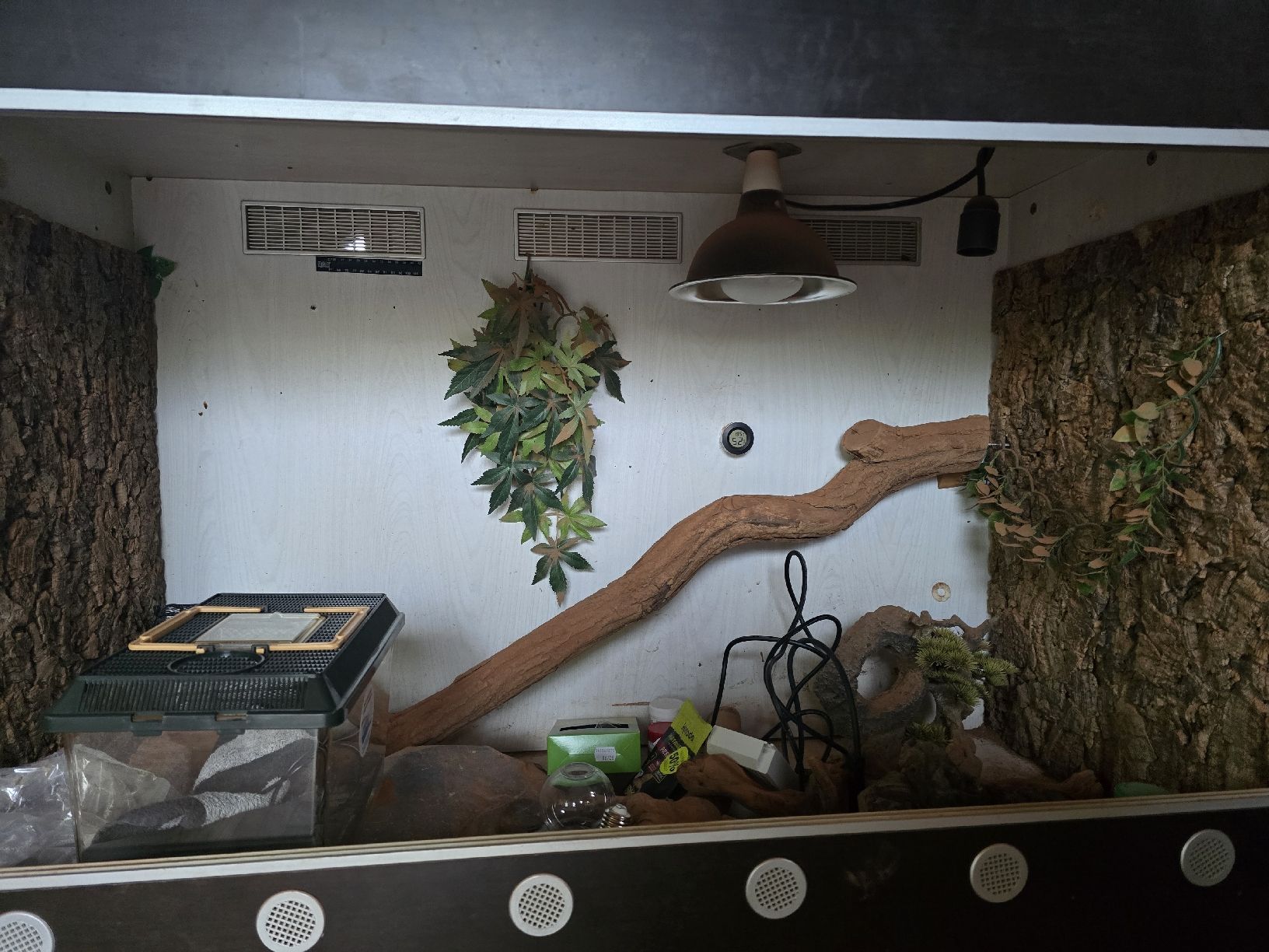 Terrario: terrarium maison – Usato da Domdidier venduto da HASGHARD 2
