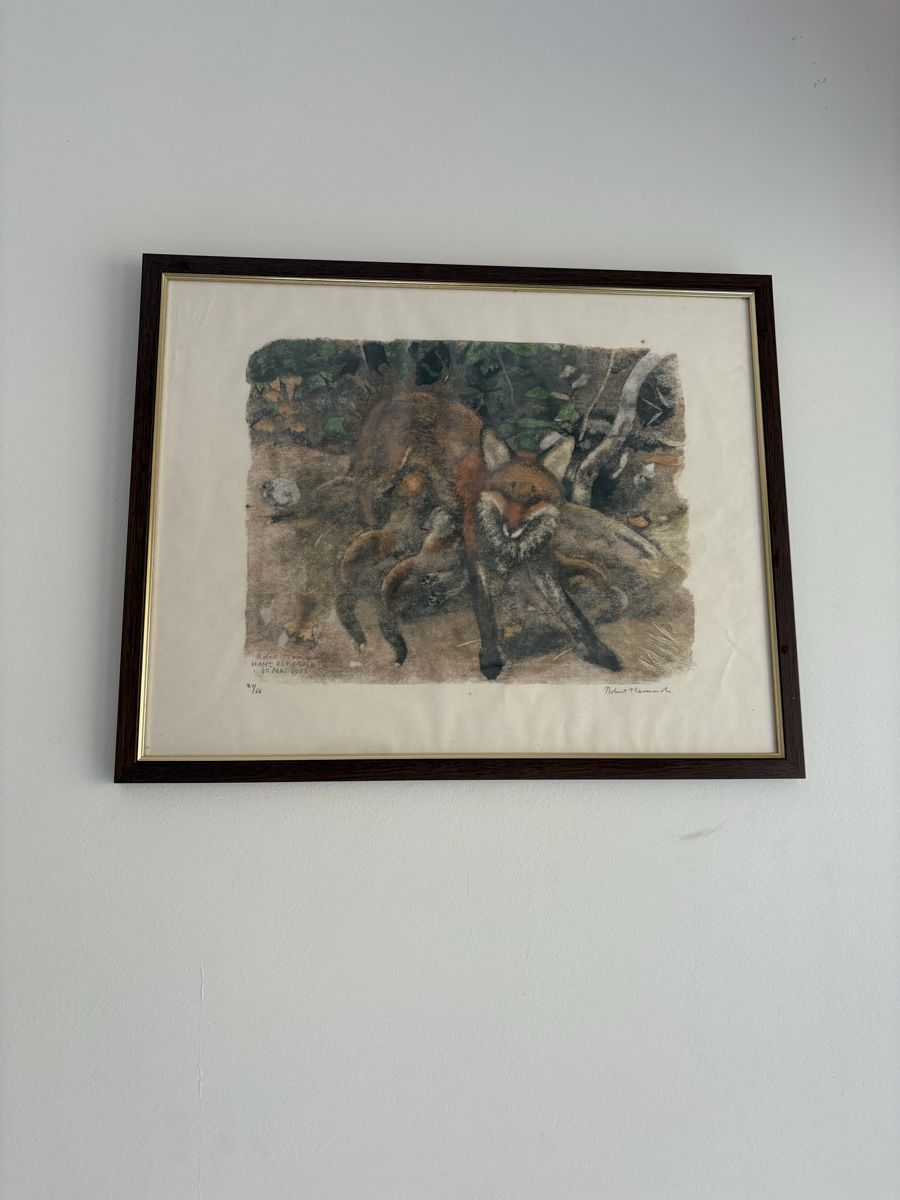 Tableaux: Tableau Robert Hainard  – D'occasion à petit lancy par FerreiraLuis