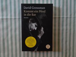 David Grossmann - Kommt ein Pferd in die Bar - Roman - B746