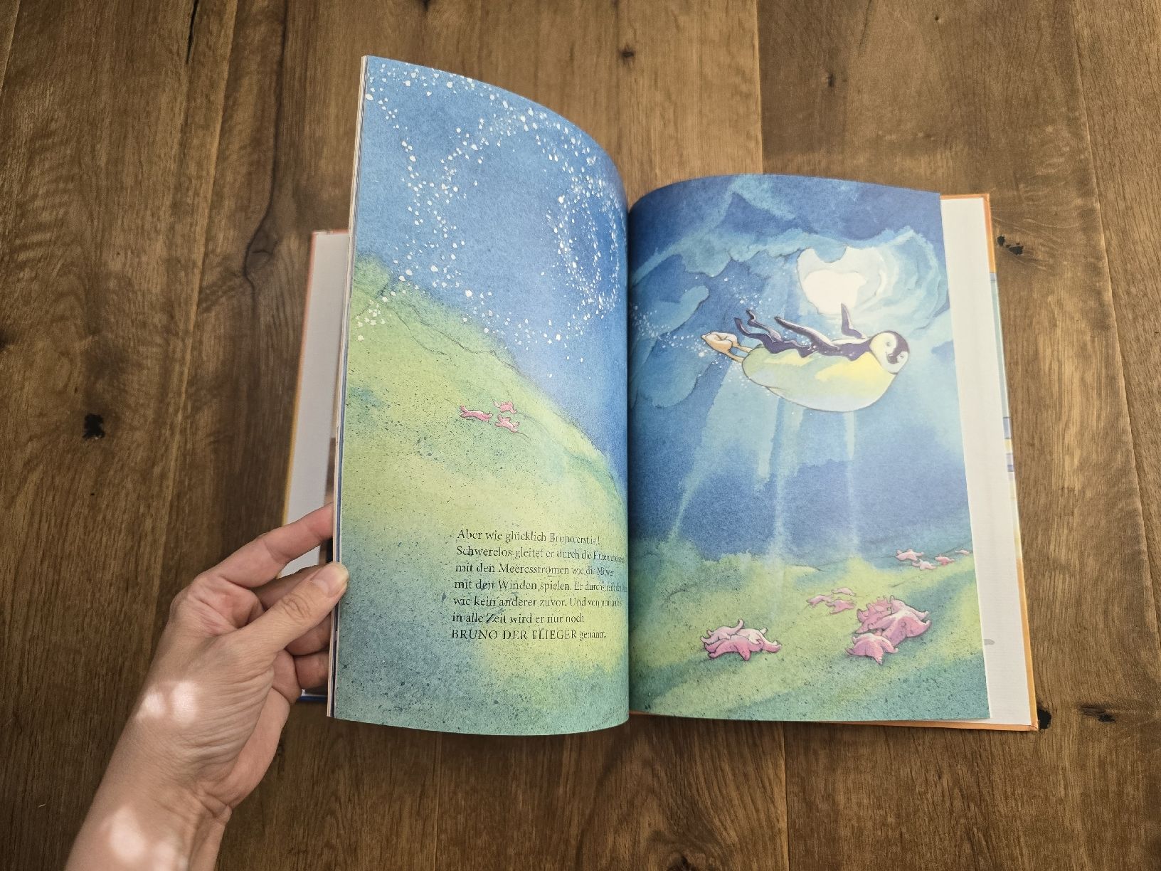 Libri: Bilderbuch "Und ich will Flieger sein" Anette Bley  – Usato da Wittenbach venduto da Tigerlili 4