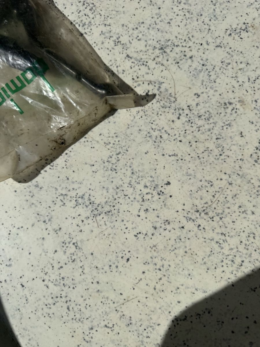Parti ricambio per ciclomotori: Mofa Domino Griff – Nuovo e nell'imballaggio originale da Dübendorf venduto da Sachs621 2
