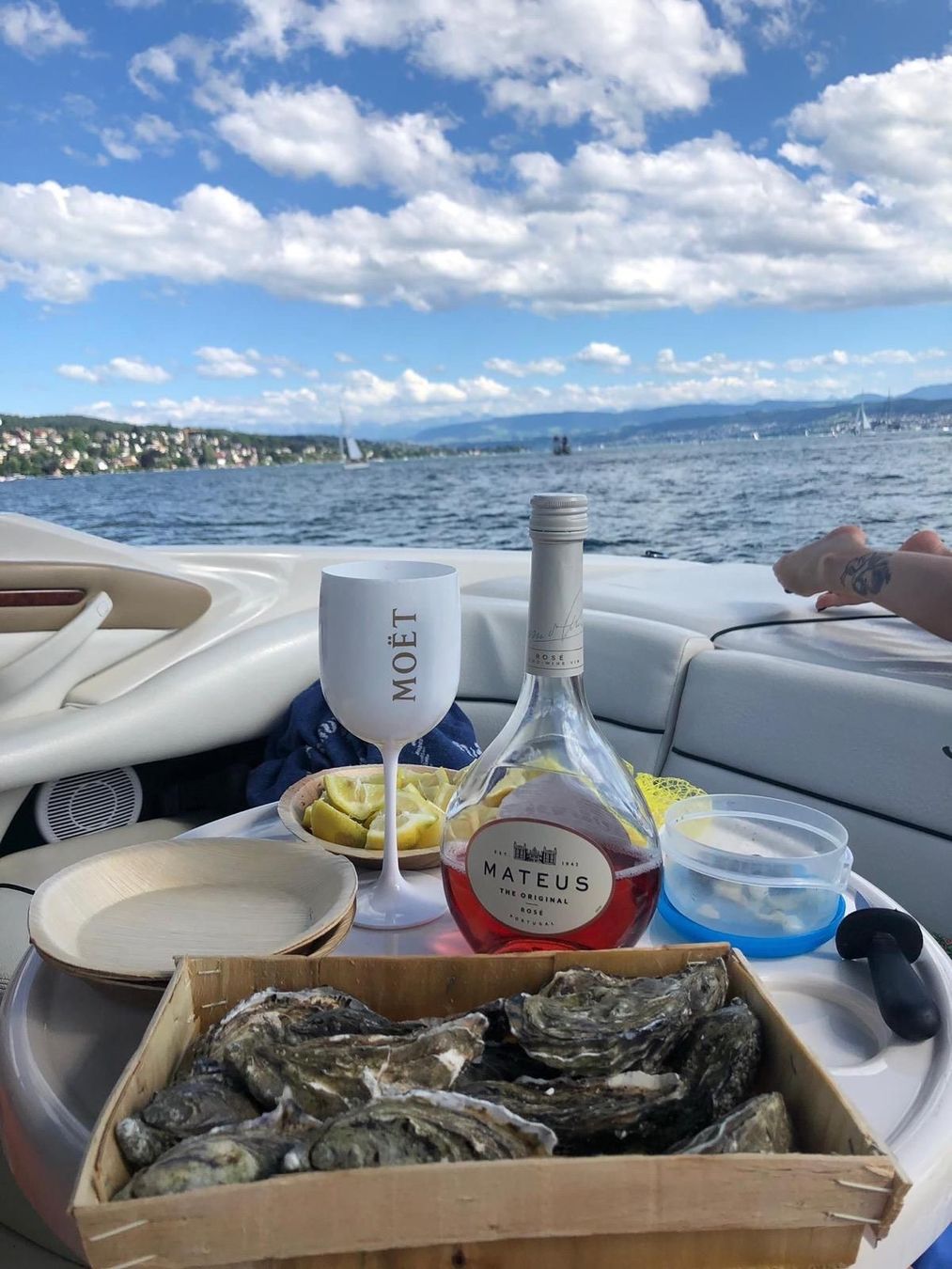 Sea Ray Barche: Bateau Sea ray ov 230 – Usato da Romont FR venduto da Djeb7 4