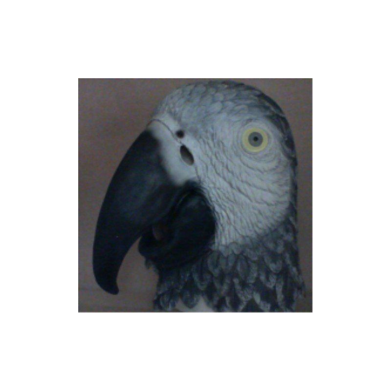 Maschere: Papagei Vogel Maske – Nuovo e nell'imballaggio originale da Gonten venduto da Herr-Lobo 1
