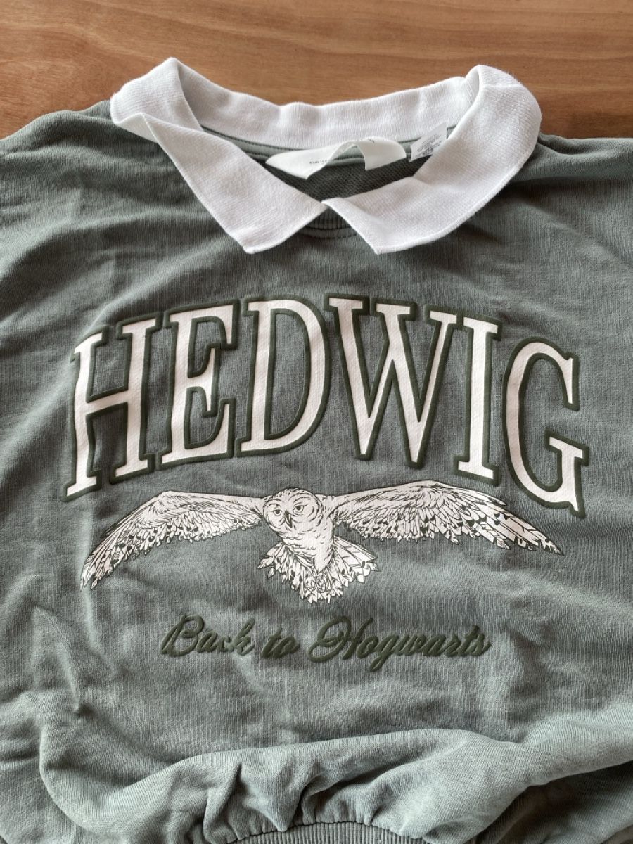 Maglioni & Felpe: Harry Potter Hedwig Pullover, Gr. 146/152, Top! – Usato da Beinwil am See venduto da lol_j8dy 1