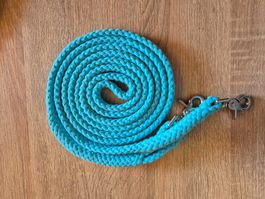Zügel mit Karabiner