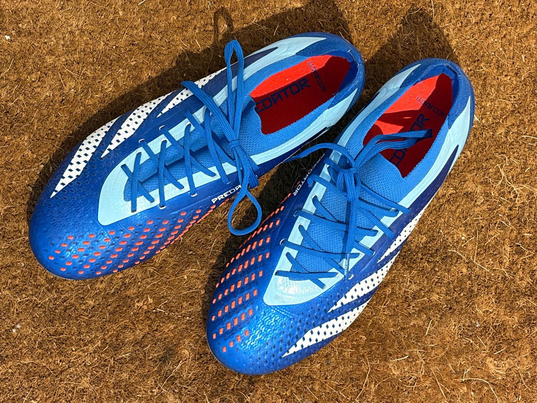 Adidas Herrenschuhe: Adidas Predator Accuracy.1 blau neu – Neu (gemäss Beschreibung) aus Zürich von jub_g9vk 1