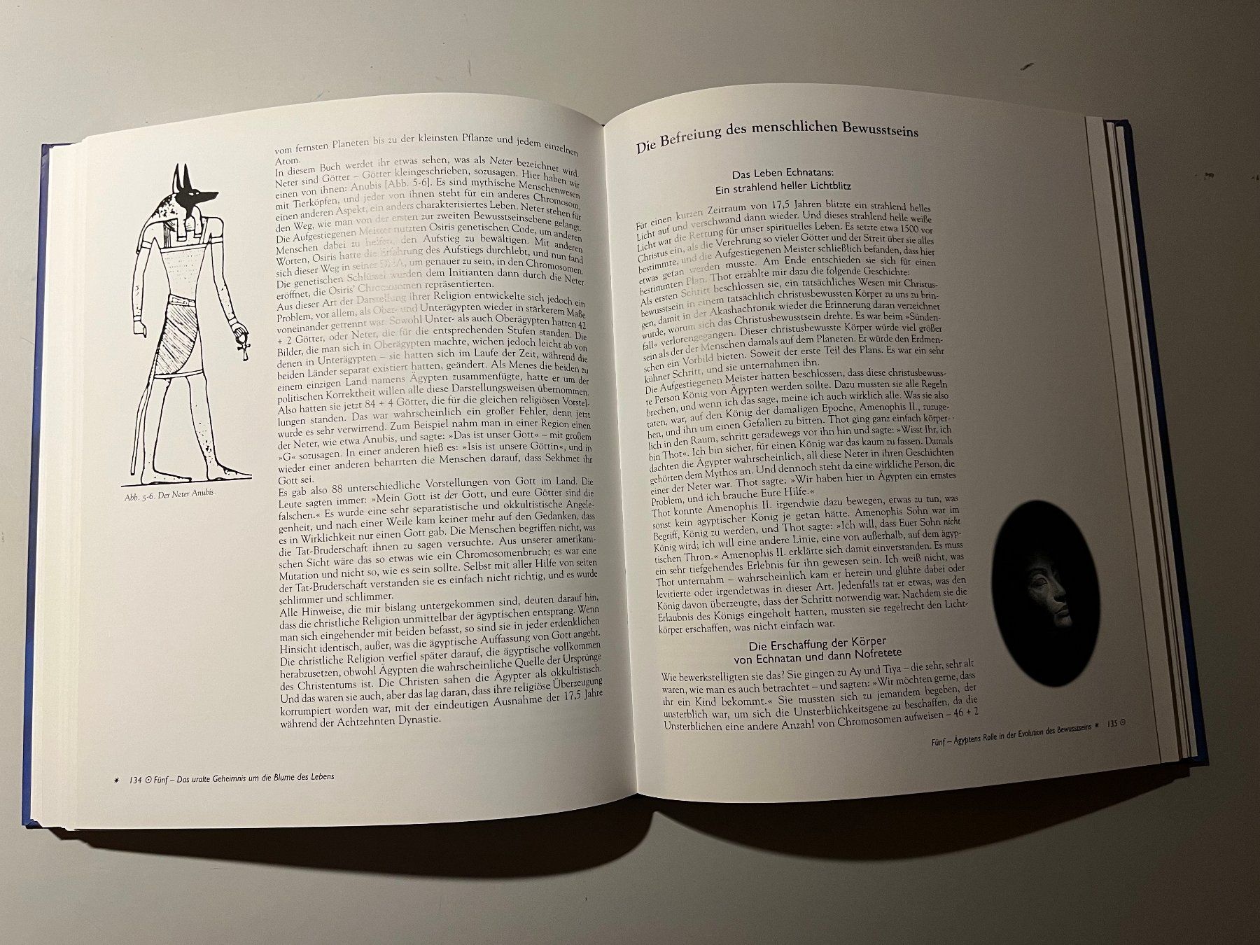 Bücher: Drunvalo Melchizedek: Blume des Lebens Band 1 – Gebraucht aus glattfelden von kimiaxel 4