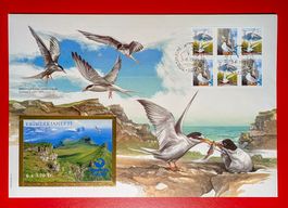 FOROYAR FÄRÖER VÖGEL ZUSAMMENHÄNGEND MARKENHEFT FDC 1991