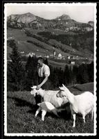 Brülisau /AI, Panorama mit Kamor und Ho