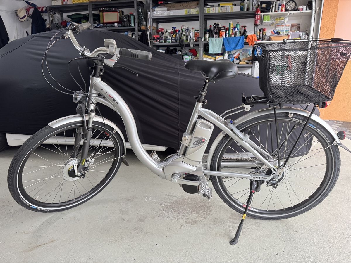 Flyer Biciclette: flyer ebike – Usato da Egolzwil venduto da Millennium88