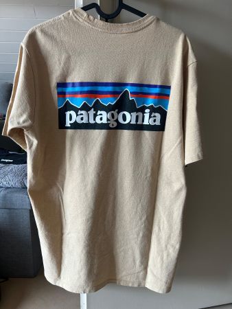 Patagonia Herren T-Shirt beige Gr S, guter Zustand