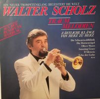 Walter Scholz – Traum-Melodien (LP)