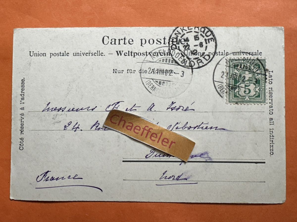 Cartoline postali: 1902 Engstligenalp mit Wildstrubel – Usato da Zürich venduto da Chaeffeler 1