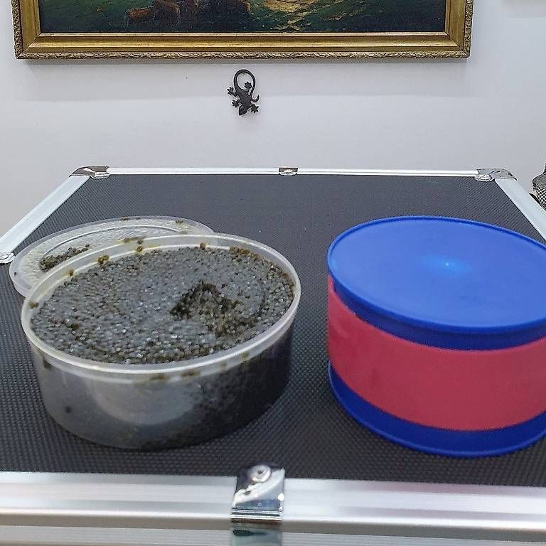 Kit di modellismo & Modellini statici: Beluga Caviar  – Usato da Rupperswil venduto da Viland_Dann