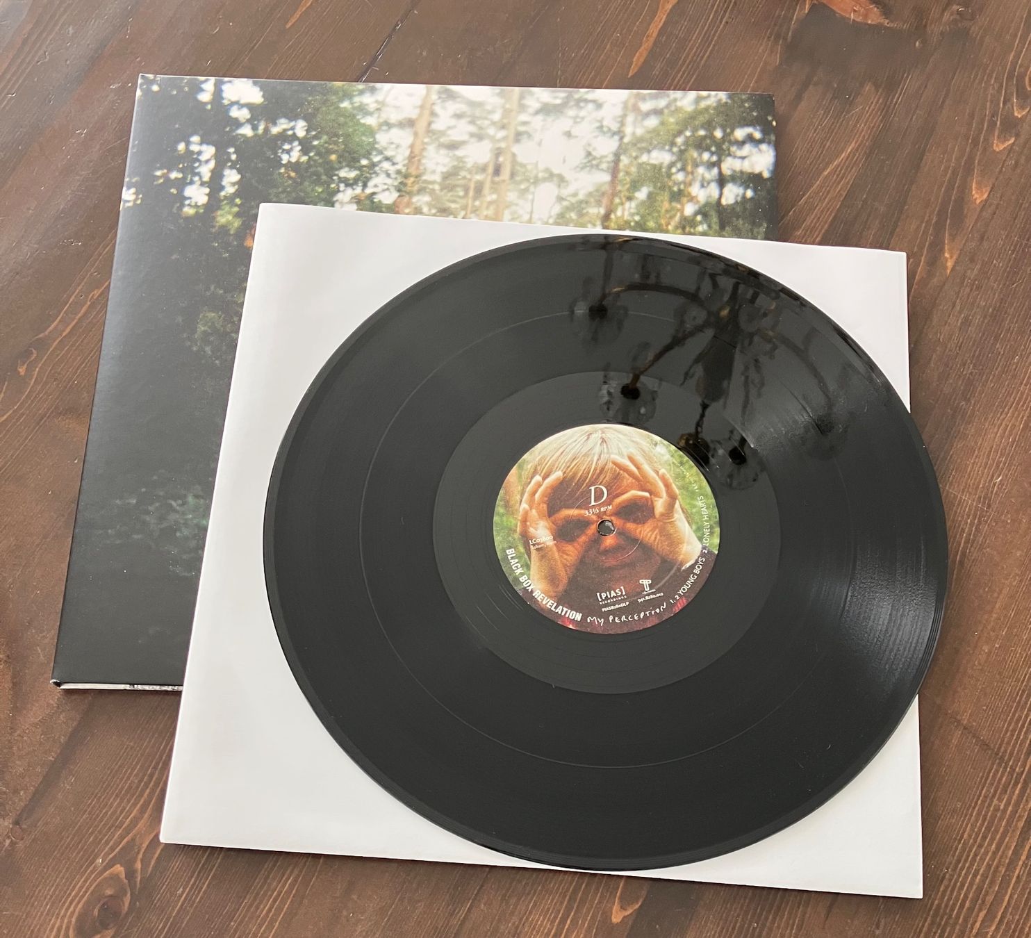 Dischi in vinile: THE BLACK BOX REVELATION - MY PERCEPTION – Usato da steffisburg venduto da Dstauffer 8