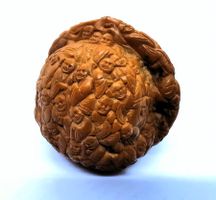 noix Hediao sculptée China geschnitzte Hediao Nuss 19e - 20e
