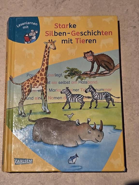 Libri: Lesebuch – Usato da Vinelz venduto da man_t2q9