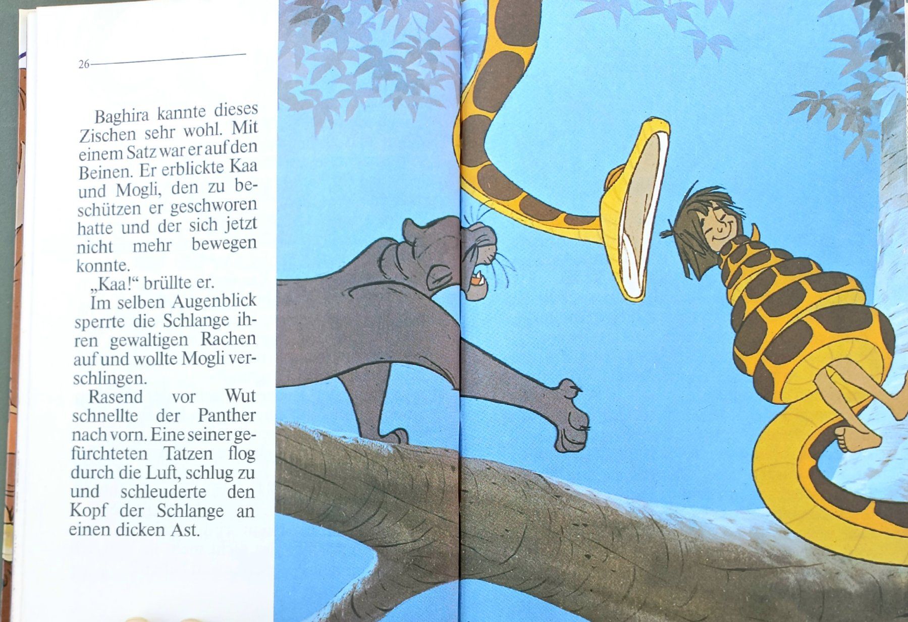 Fumetti: Comic Buch - Das Dschungel Buch – Usato da Niederuzwil venduto da lubimaja 4