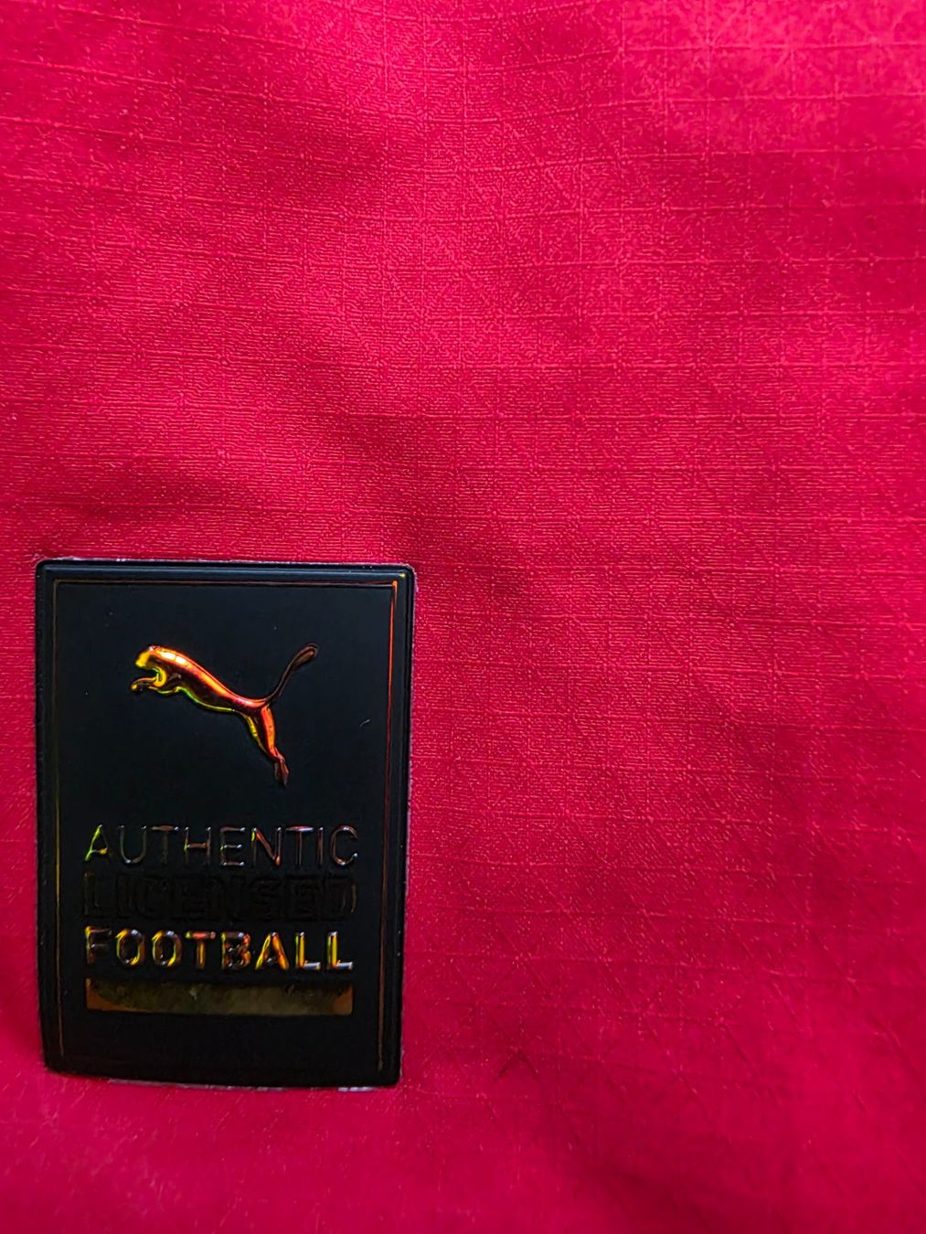Puma Canottiere & Pantaloni: SCHWEIZ NATI 2022 TRIKOT AUTHENTIC L – Usato da Lüchingen venduto da Jersey_Time 4