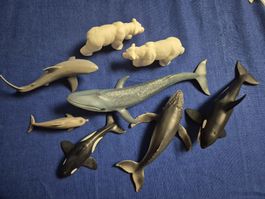 Schleich Tier - Set  , 8 Stk
