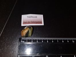 TIGERAUGE
