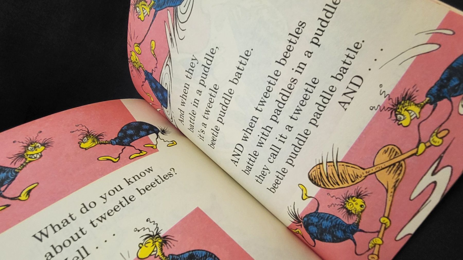 Libri: Buch FOX IN SOCKS by Dr. Seuss – Usato da Basel venduto da spinne02 5