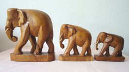 Elefanten aus Holz 3 Stk. Höhe = 18,5cm / 12,5cm / 11cm