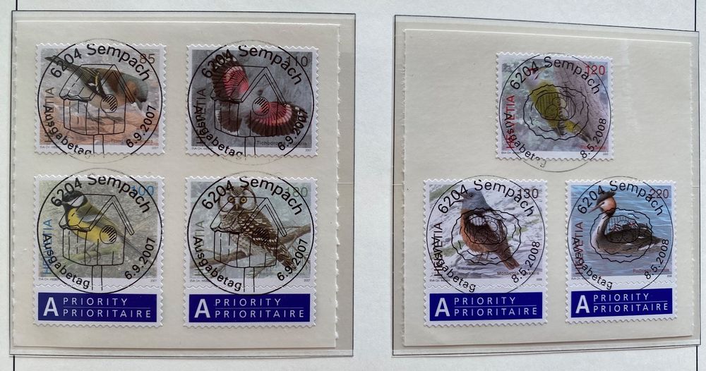 Prophila Collection Argentinien Block55 (kompl. Ausg.) – Postfrisch ** MNH 1993 – Einheimische Vögel – 1 Block Für Briefmarkensammler, Vogel-Motive