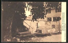 Hallau, Der Hammerbrunnen, gelaufen 1910