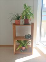 Meuble pour les plantes