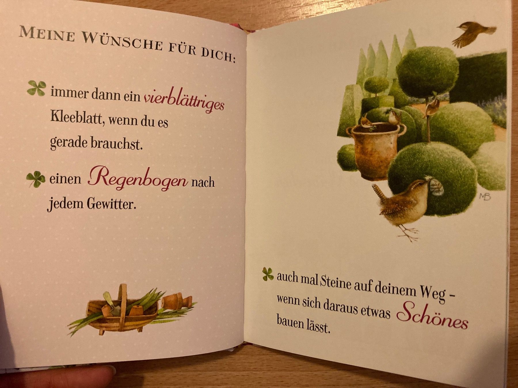 Libri: Buch zum Geburtstag alles Liebe – Usato da Schlattingen venduto da fernfen 1