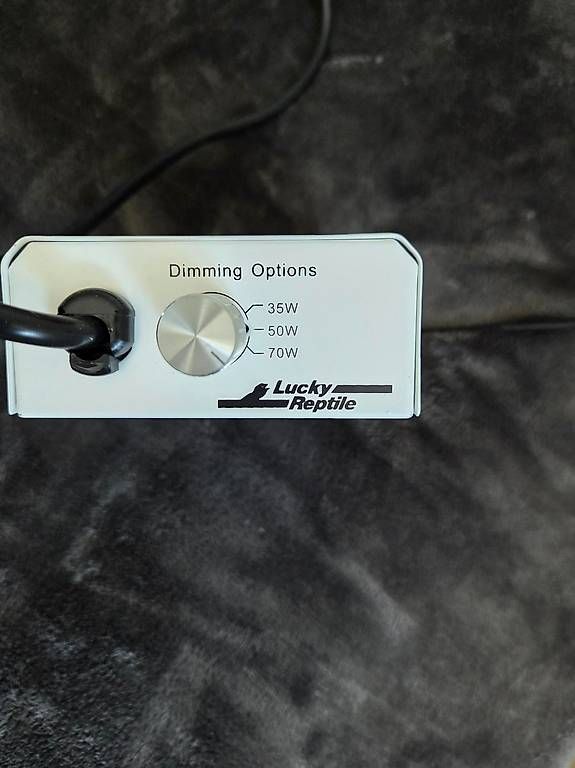 Consoles: Bright Control PRO 3 von Lucky Reptile – D'occasion à Reinach BL par Racoon_82 1