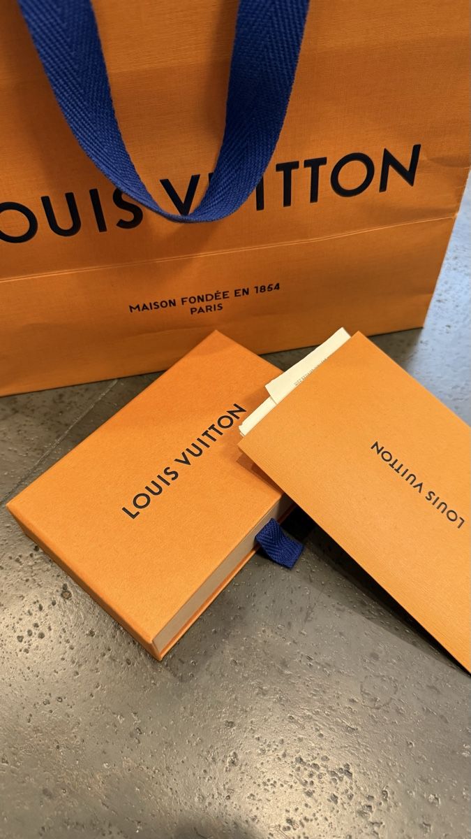 Louis Vuitton Portafogli: Original Louis Vuitton LV Taschenorganizer New Shadow Grau – Usato da Grub SG venduto da Crispin1990 5