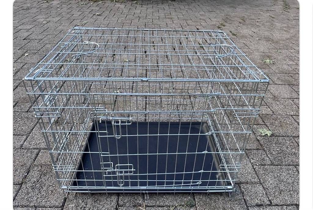 Cages, transport & sécurité: Hundebox  – D'occasion à Niederhasli par JUPOGI