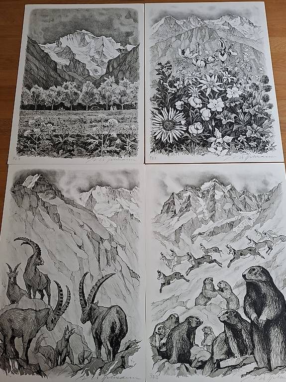 Libri: Die Jungfrau / Mein Berg – Usato da Wabern venduto da amo_pp26 3