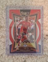 2024-25 PANINI Select FIFA Soccer Ferran Torres Blue