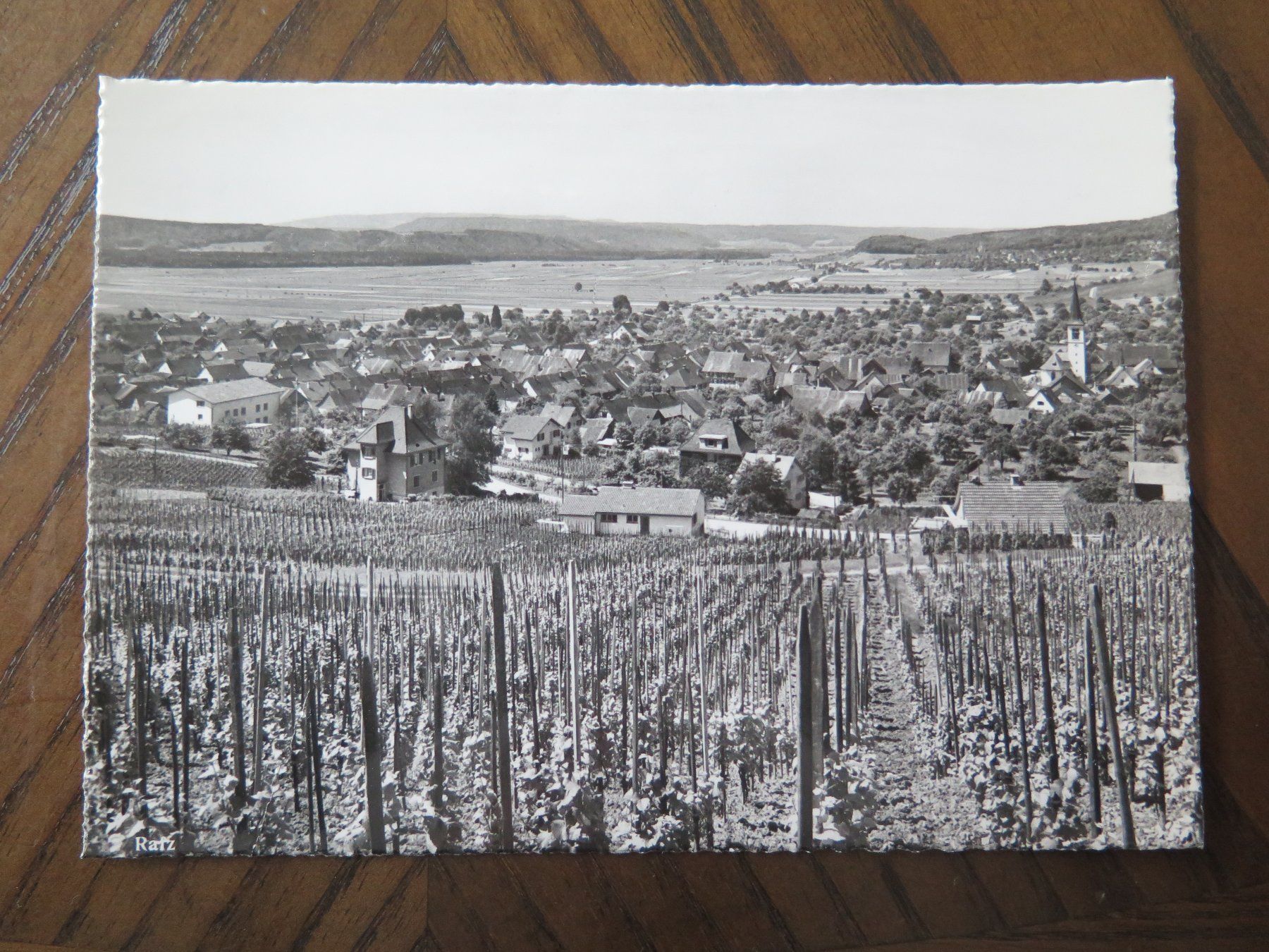 Cartoline postali: RAFZ - REBBERG - WINZER - WEIN – Usato da Wittenbach venduto da lipasal