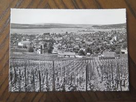 RAFZ - REBBERG - WINZER - WEIN