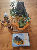 Playmobil Pirateninsel mit Anleitung & Zubehör 🏝️