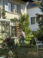 baumleiter Antik Holz Leiter 7 Meter lang Lieferung möglich