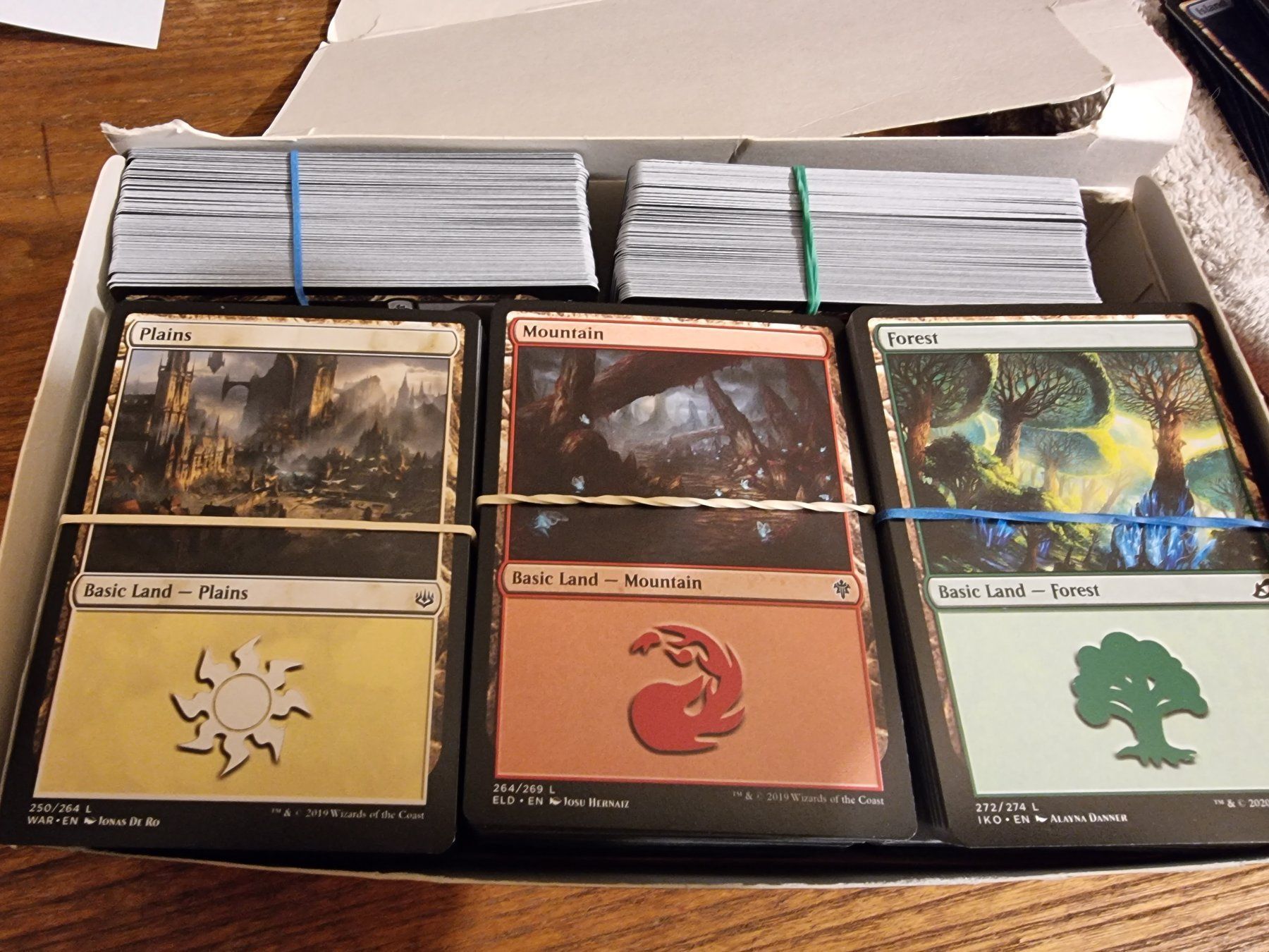 Cartoline: mtg 250 Magic basic lands / Länder – Usato da Rüschlikon venduto da lordgara