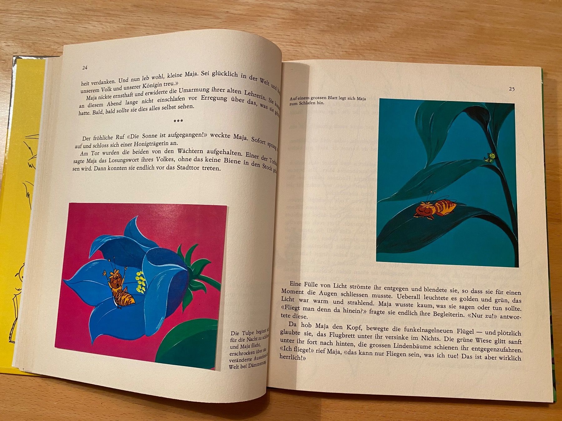 Libri: Die Biene Maja - Margret Mellert/Bernhard Meyer 1972 – Usato da Schwarzenburg venduto da Michellu 7