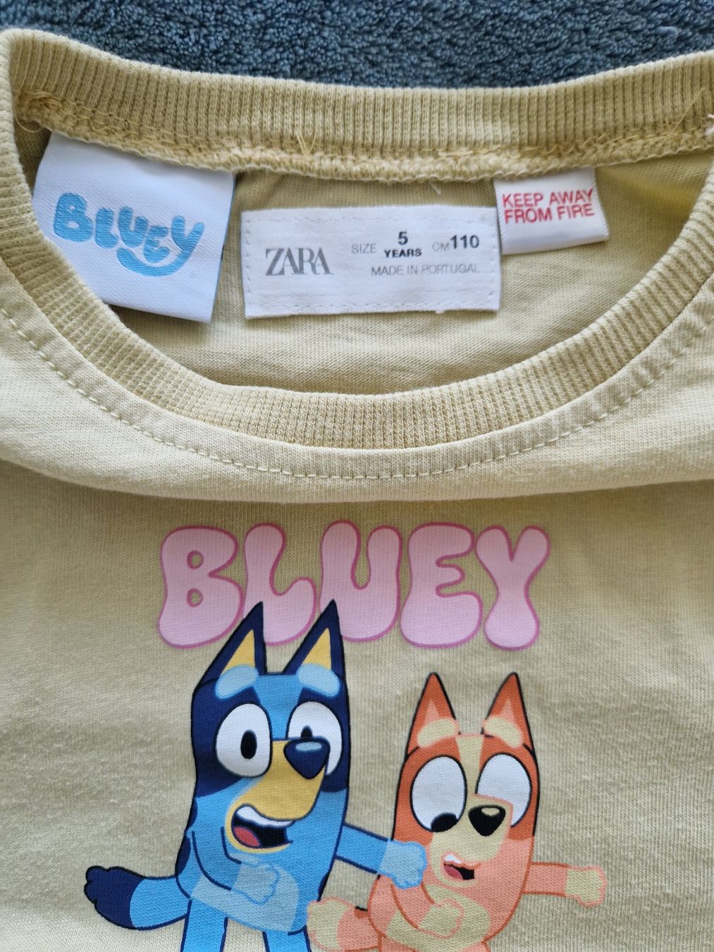 Zara Pullover & Sweatshirts: Langarmshirt Grösse 110 Bluey – Gebraucht aus Heimberg von Eleanor20 2