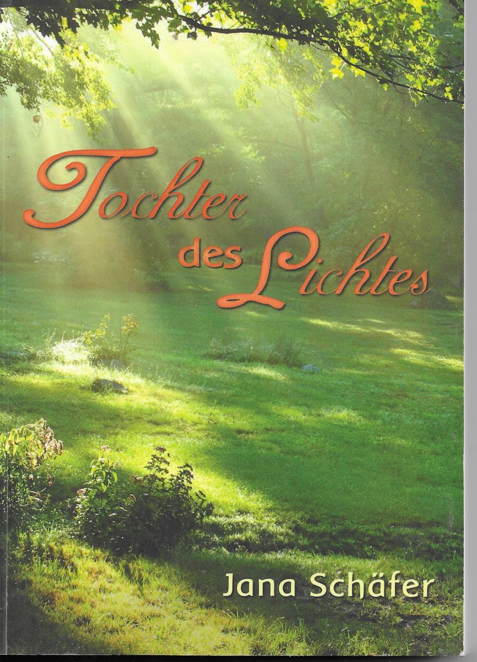 Libri: Jana Schäfer - Tochter des Lichtes – Nuovo (secondo la descrizione) da Nunningen venduto da mercury-for-books