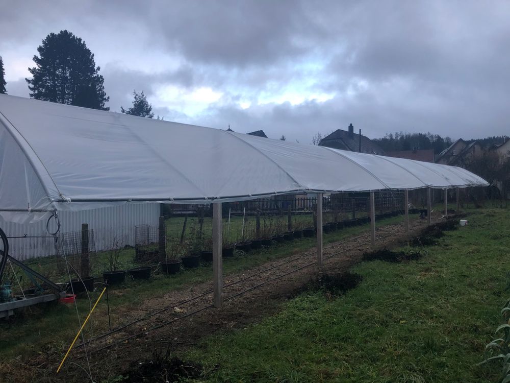 Regendach, Gewächshaus, Tomatendach | Kaufen auf Ricardo
