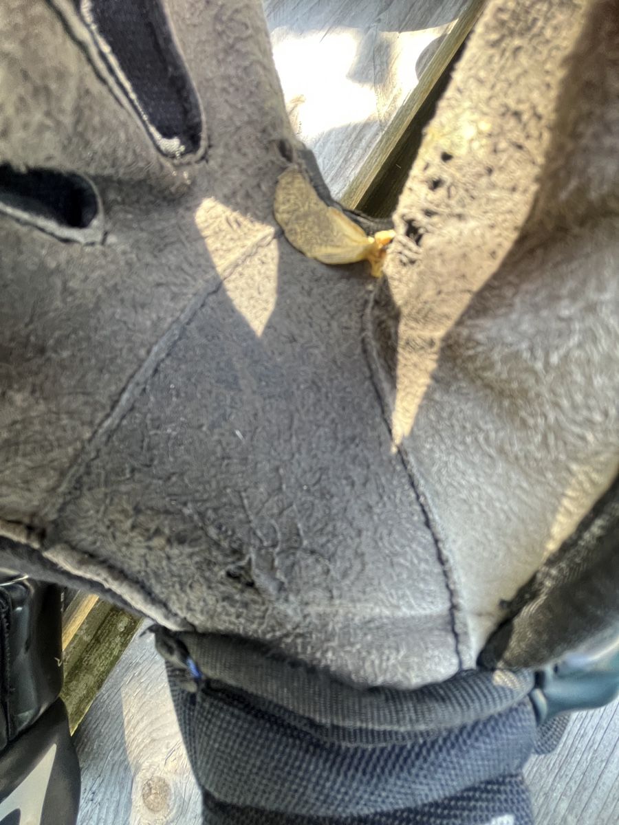 Bauer Guanti & manicotti: Eishockey Handschuhe Gr. 11 – Usato da Buchs AG venduto da diacel 1