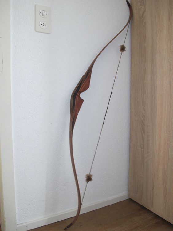 Recurve Bogen Custom | Kaufen auf Ricardo