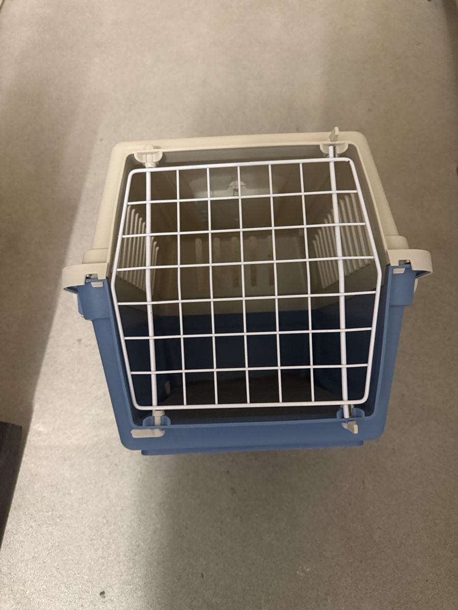 Altro in Decorazioni & Accessori: Katzentransportkasten – Usato da Zürich venduto da Joao-Neves 2