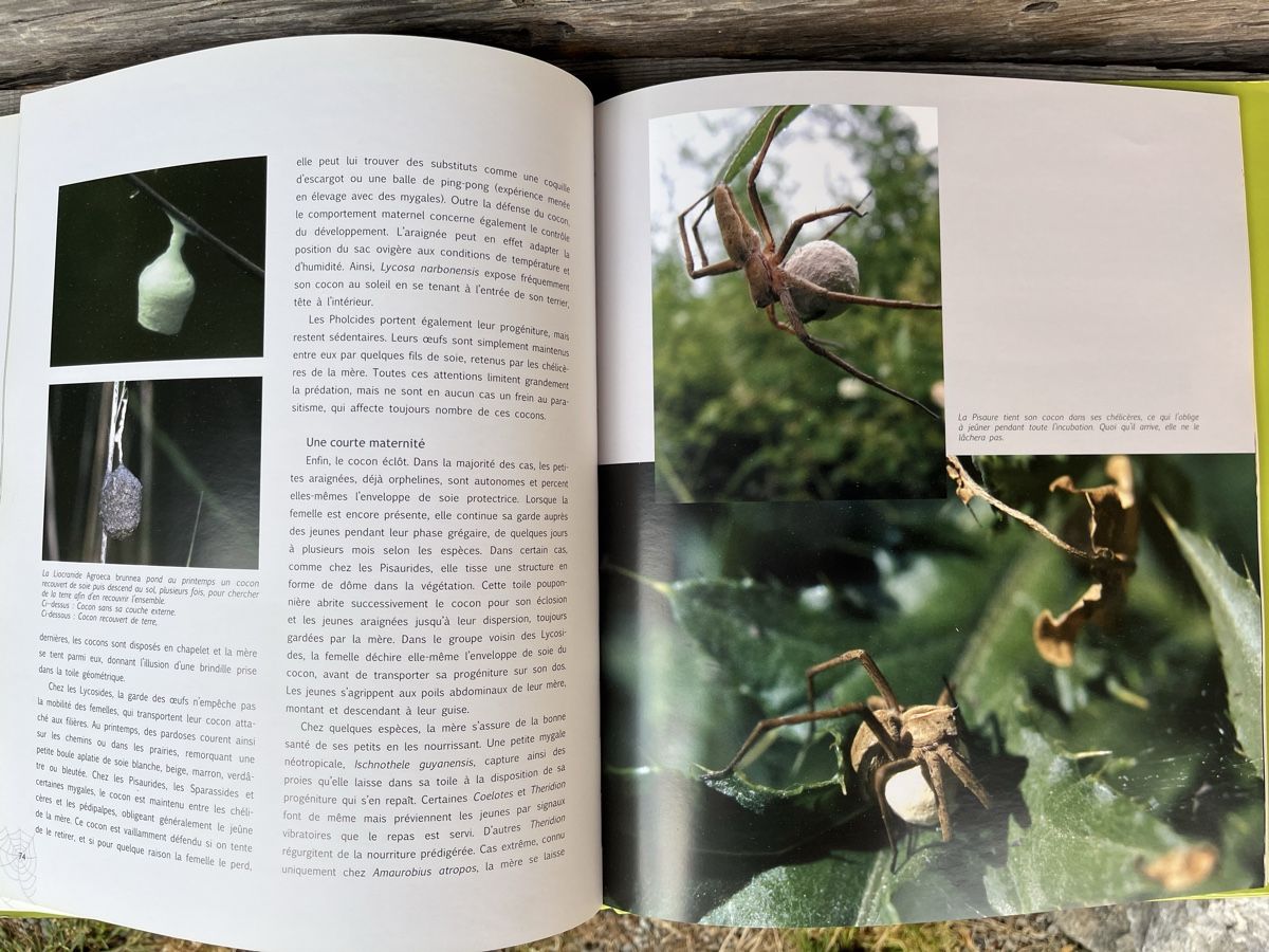 Libri: Au fil des araignées - Livre – Usato da Euseigne venduto da so.ART 3