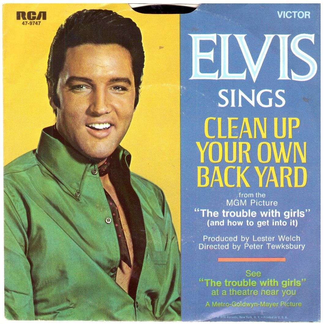 Dischi in vinile: ELVIS PRESLEY – Usato da Bassersdorf venduto da house-of-vinyl